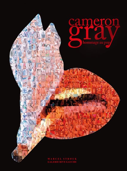 <b>Cameron Grey </b><br>Hommage au pop