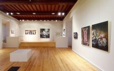 Exposition de Nicolas Cluzel au château-musée de Tournon-sur-Rhône